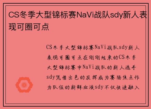 CS冬季大型锦标赛NaVi战队sdy新人表现可圈可点