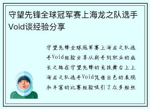 守望先锋全球冠军赛上海龙之队选手Void谈经验分享