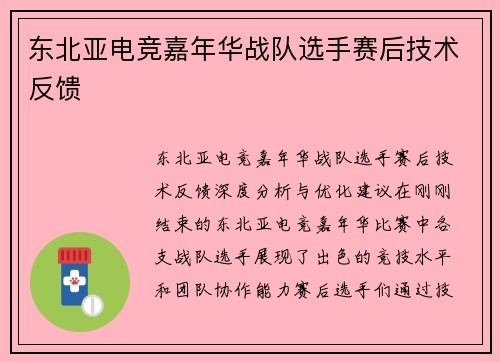 东北亚电竞嘉年华战队选手赛后技术反馈