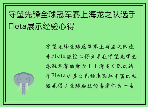 守望先锋全球冠军赛上海龙之队选手Fleta展示经验心得