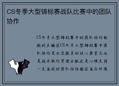 CS冬季大型锦标赛战队比赛中的团队协作